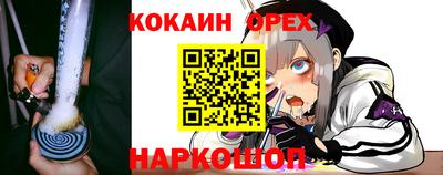 прущие грибы Донской