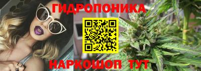 прущие грибы Донской