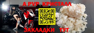 прущие грибы Донской