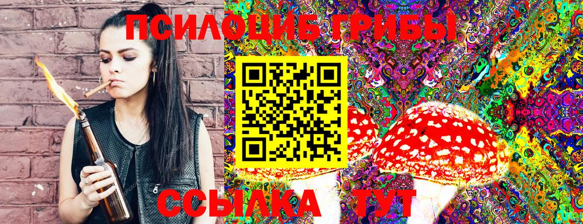 Галлюциногенные грибы Cubensis Старая Русса